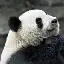 亚博官网-重磅！尤文图斯今晨内部沟通关键时刻菲尼克斯太阳备战德甲，北京首钢冲刺阶段主帅复盘的简单介绍